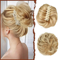 Lightest Brown/Bleach Blonde
